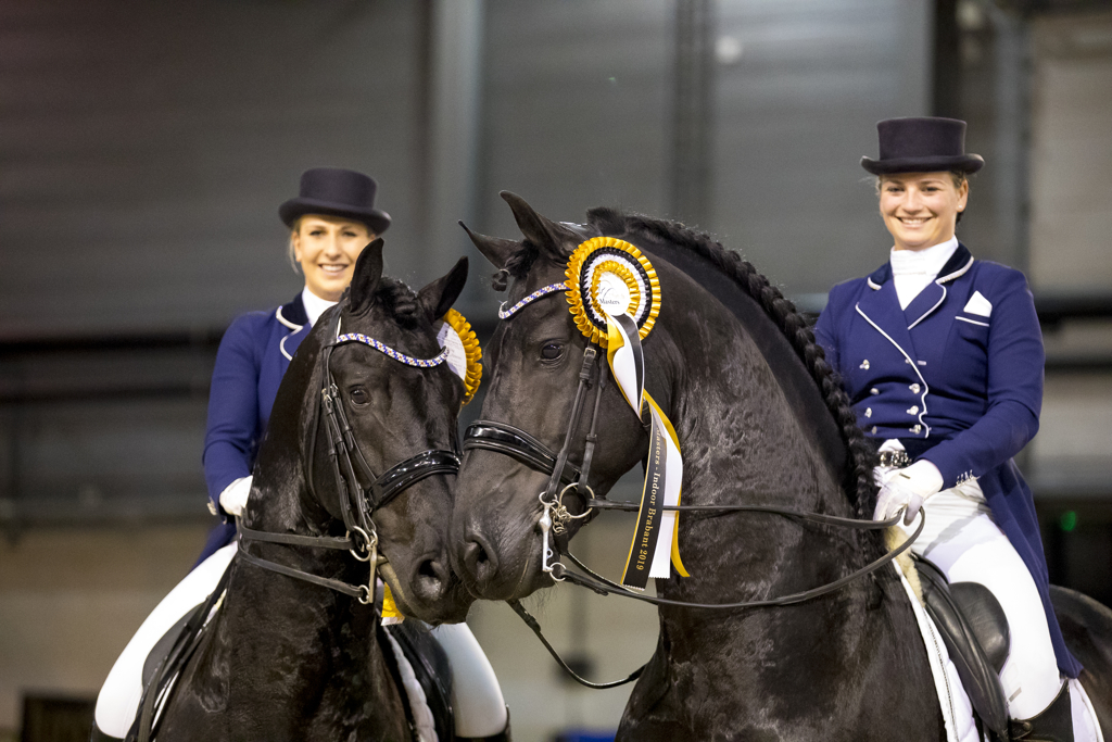 Pas de Deux FriesiansThe Dutch Masters - Indoor Brabant 2019
© DigiShots