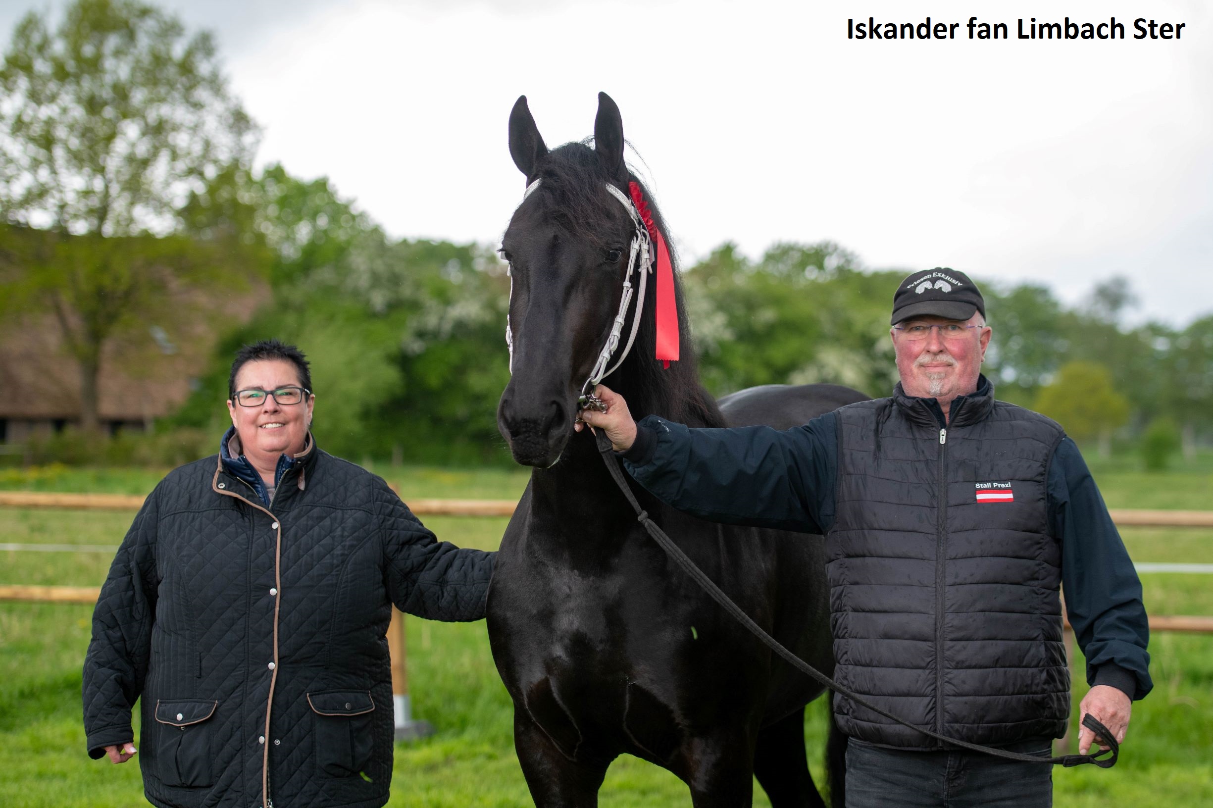 Iskander fan Limbach (Jorn 430 x Beart 411)-6783-20210522